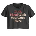 Pink Floyd wish You Were Here Official Ladies Crop Top